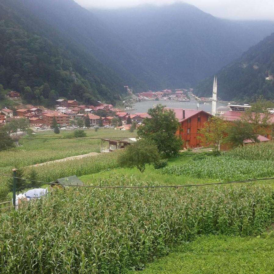 Zeren Bungalov Aparthotel Uzungöl Kültér fotó