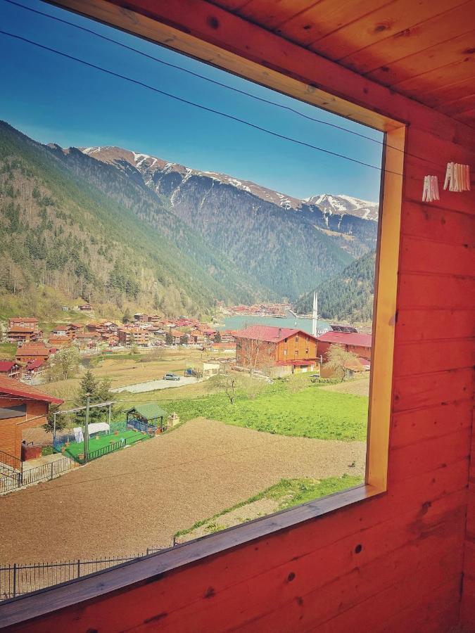 Zeren Bungalov Aparthotel Uzungöl Kültér fotó