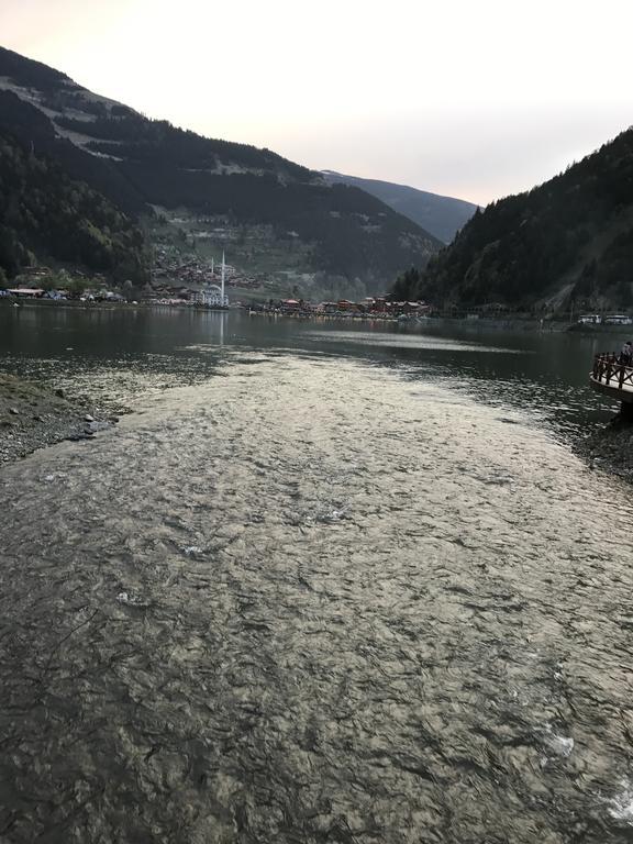 Zeren Bungalov Aparthotel Uzungöl Kültér fotó