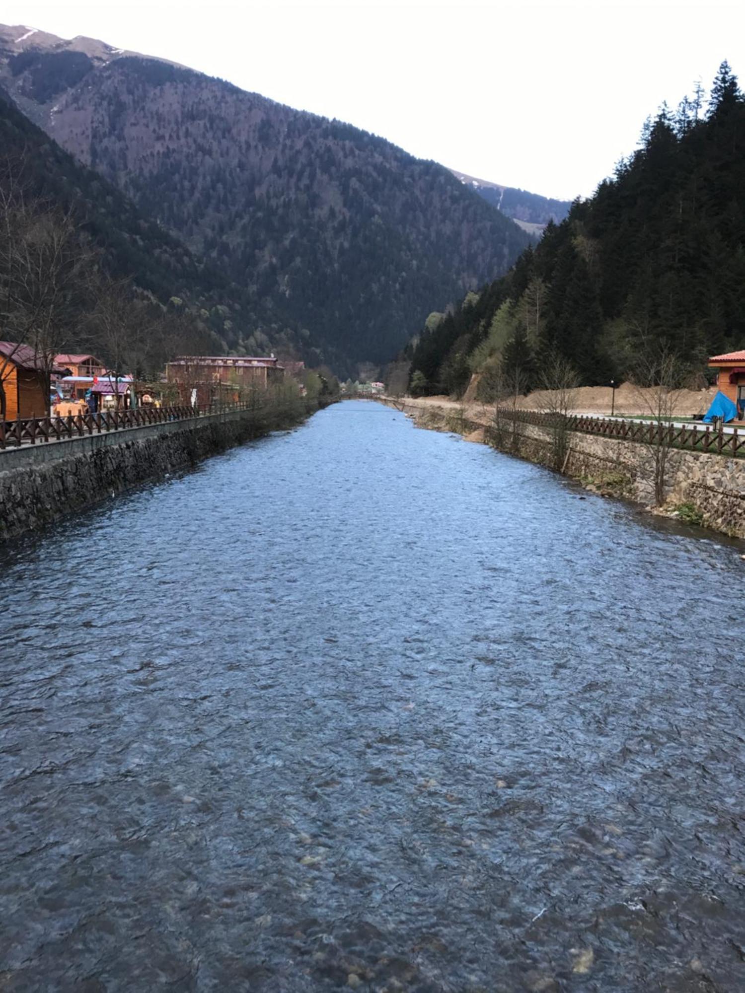 Zeren Apart Bungalov Uzungöl Kültér fotó